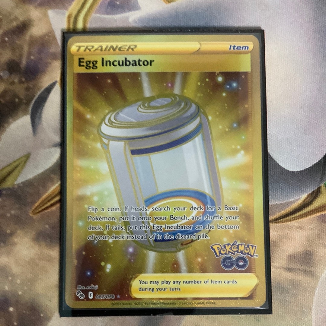Egg Incubator