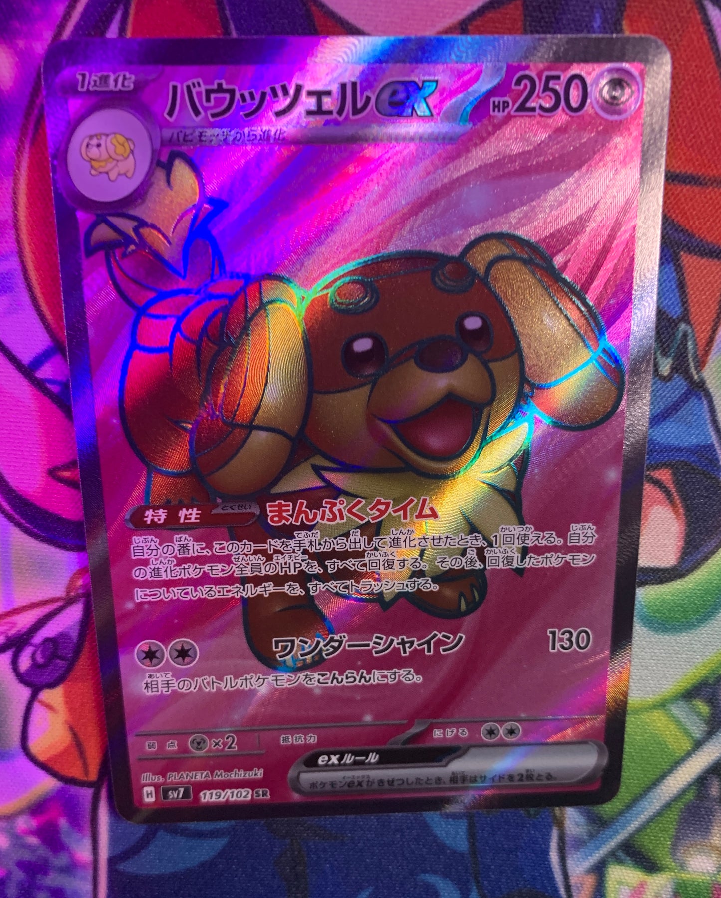 Dachsbun ex