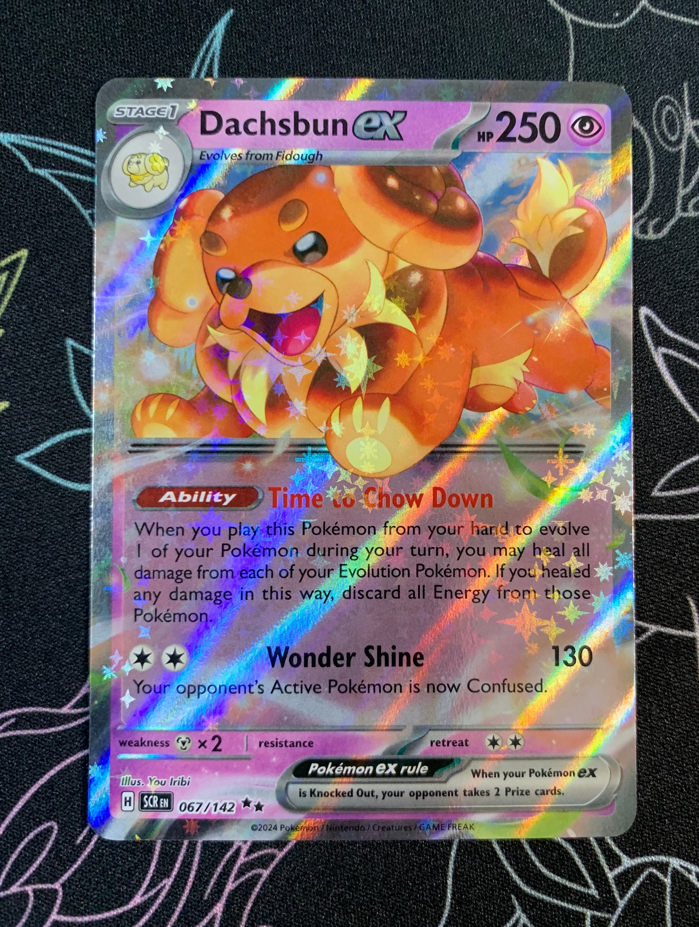 Dachsbun ex [067/142