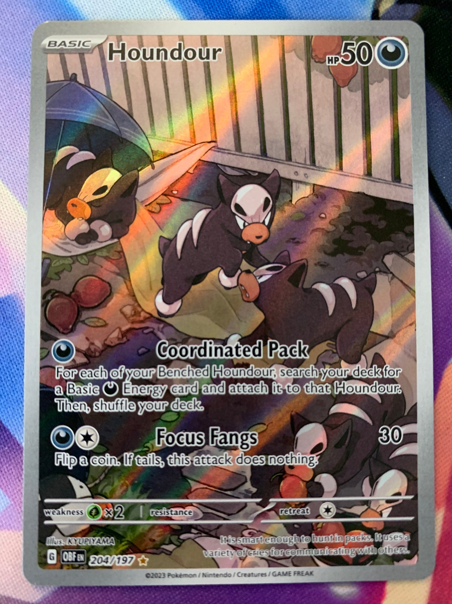 Houndour