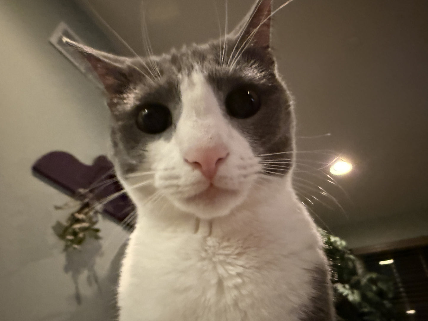 Mystery Singles Bundle