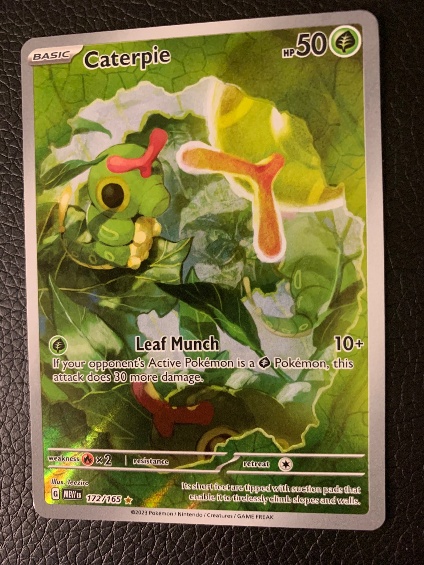 Caterpie