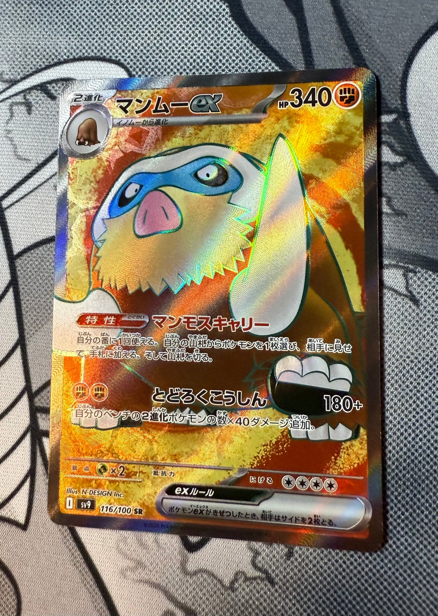 Mamoswine ex [JPN]