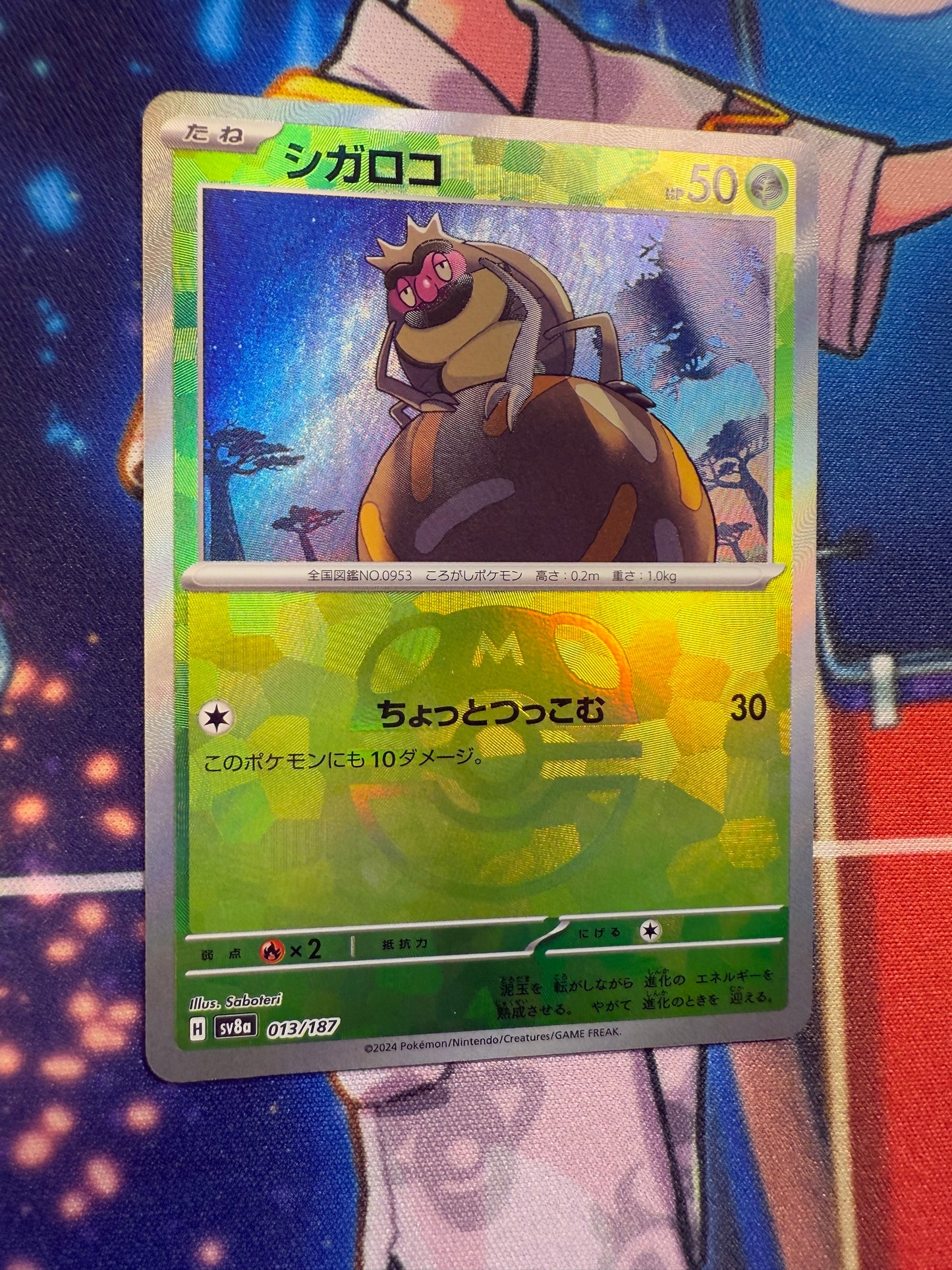 Rellor [JPN]
