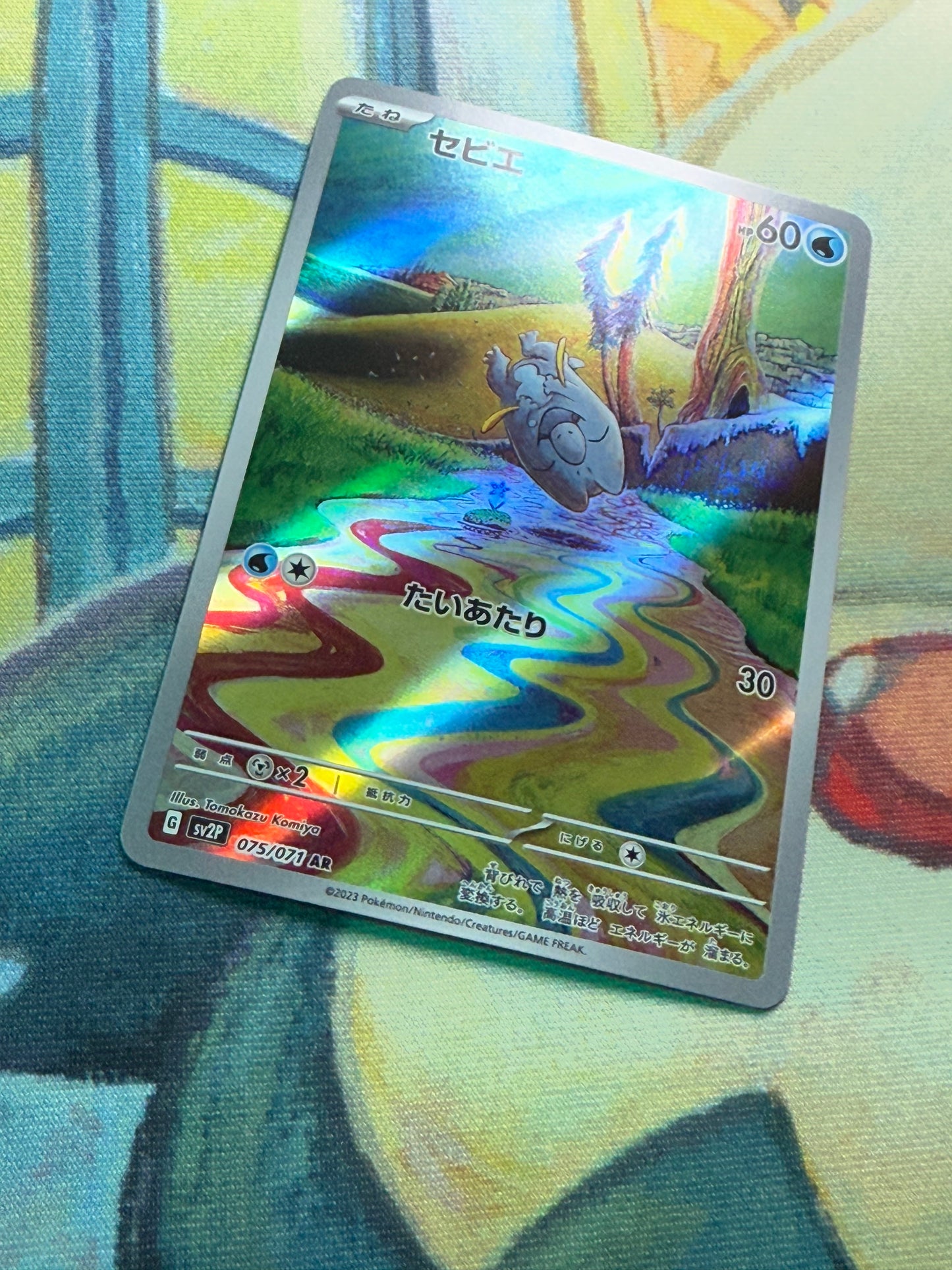 Frigibax [JPN]