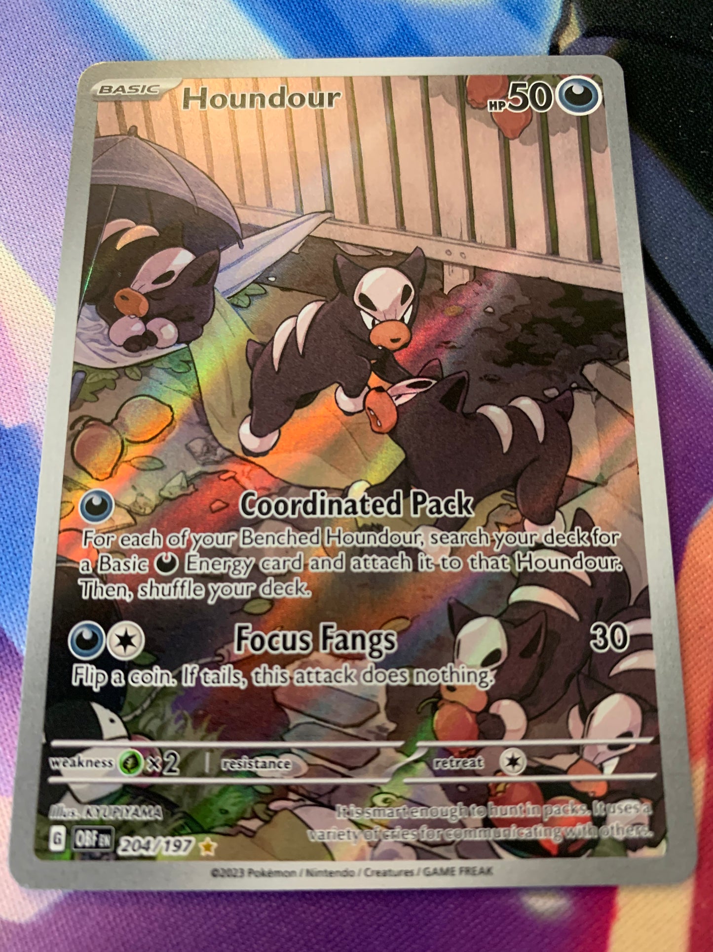 Houndour