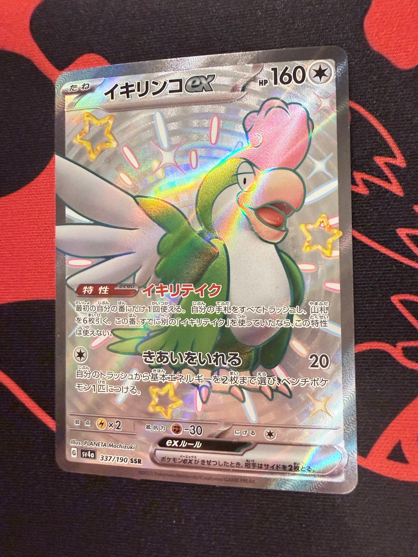 Squawkabilly ex