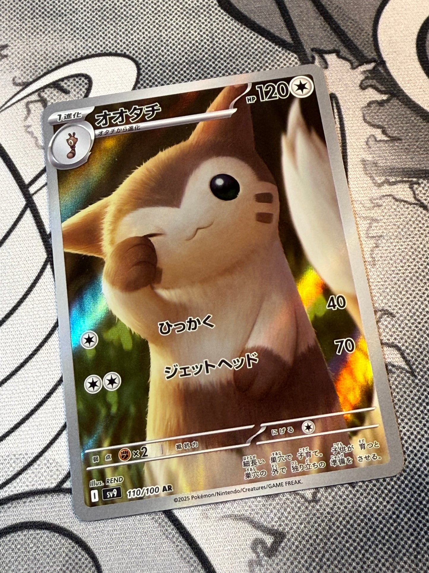 Furret [JPN]