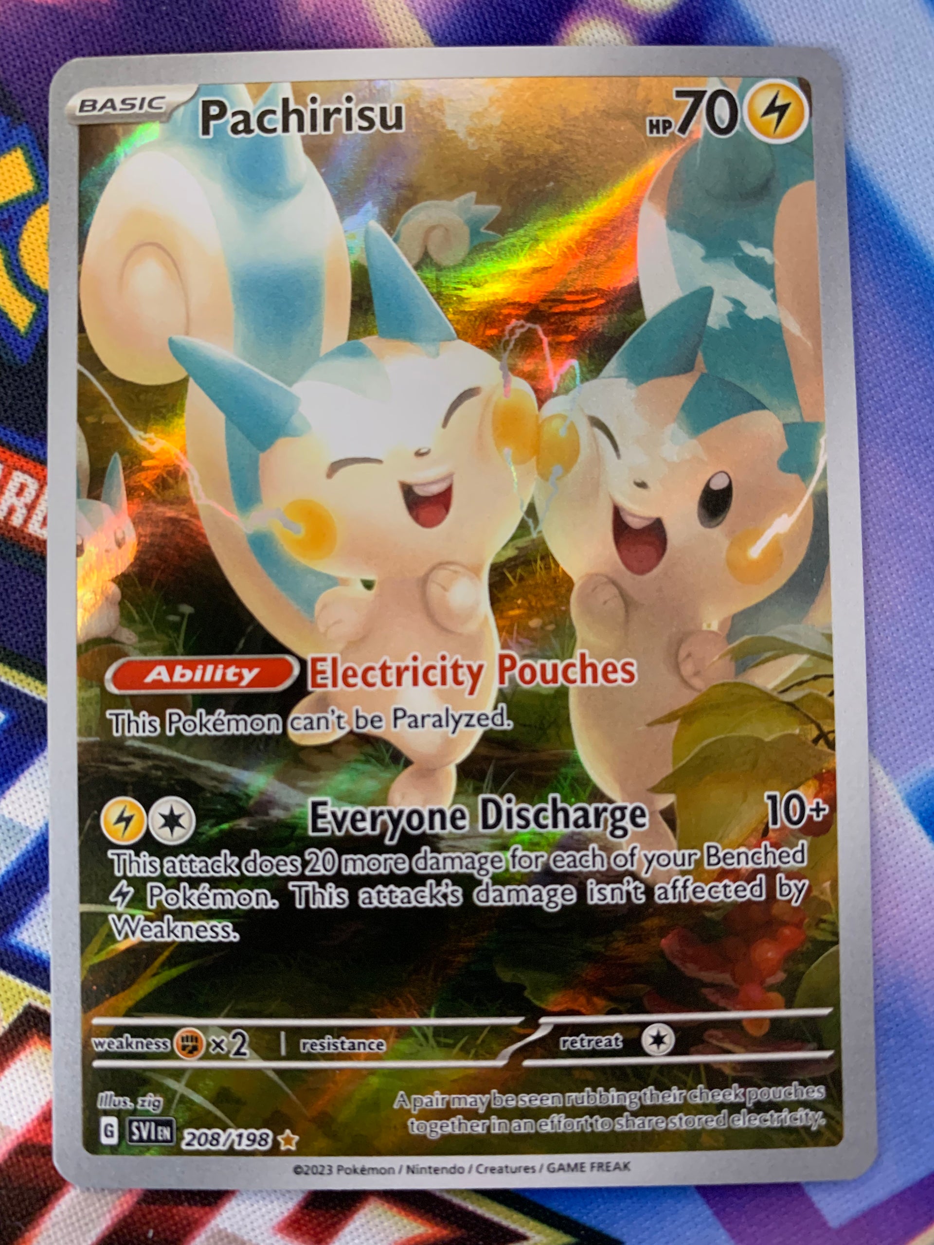 pachirisu pokemon card Pachirisu – Pally's Trainer & Collector Store