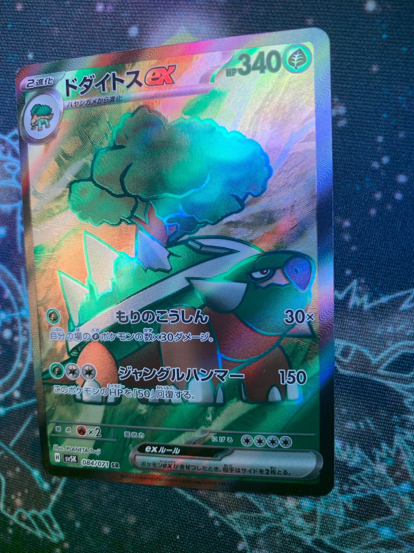 Torterra ex [JPN]
