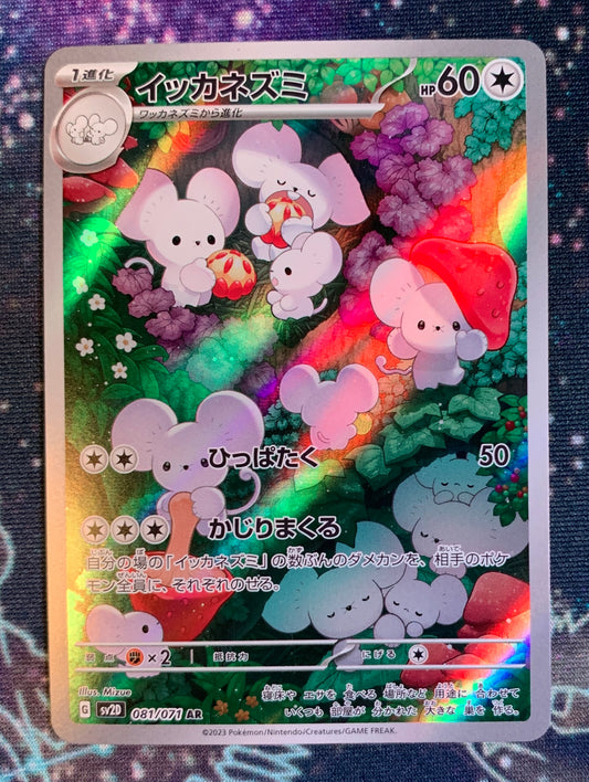 Maushold [JPN]