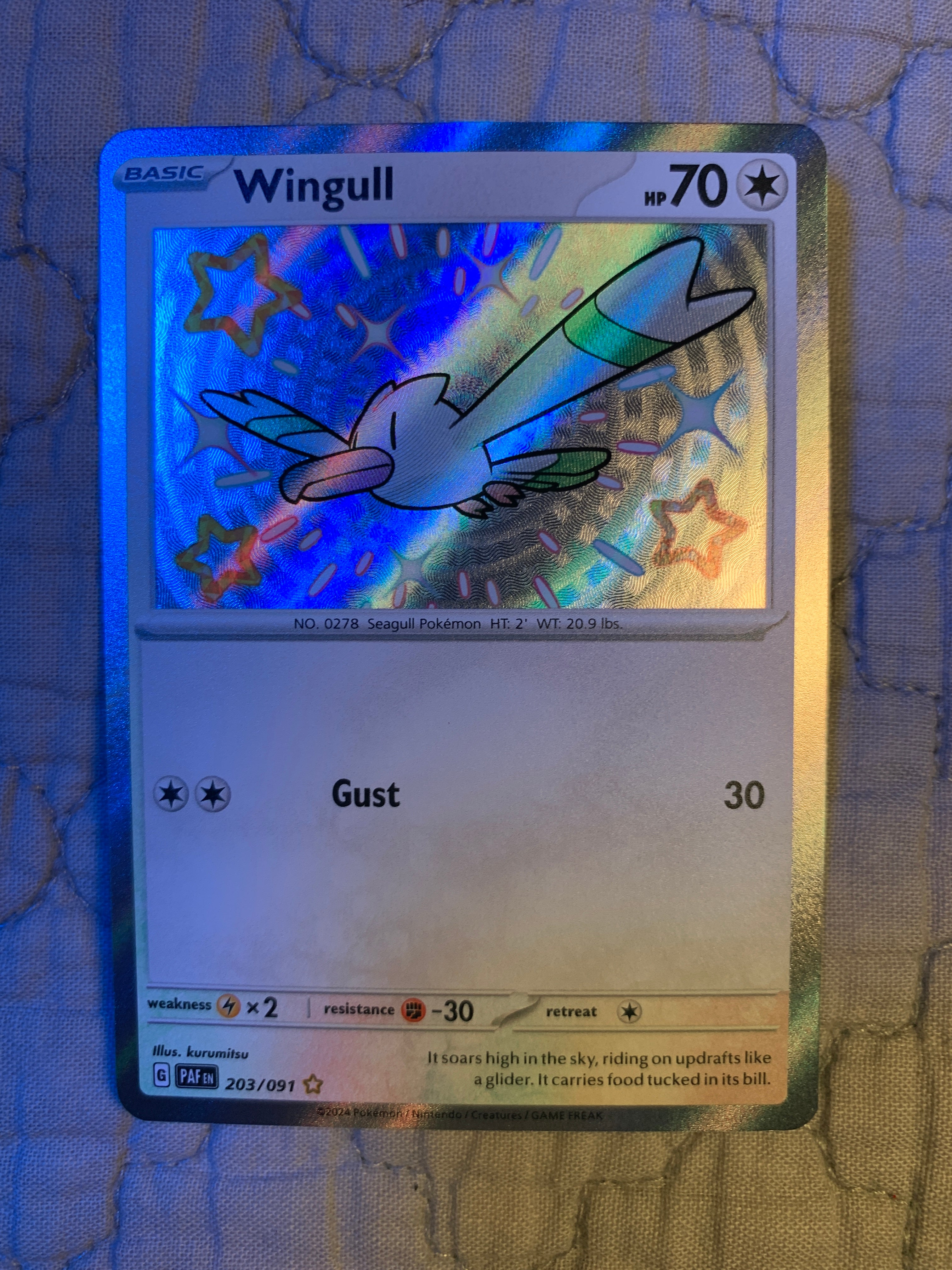 Winngul Wingull – Pally’s Trainer & Collector Store