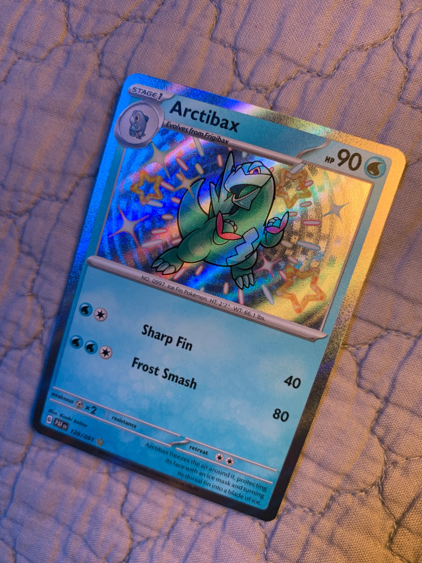 Arctibax