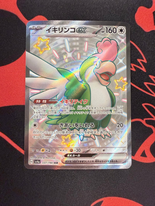 Squawkabilly ex