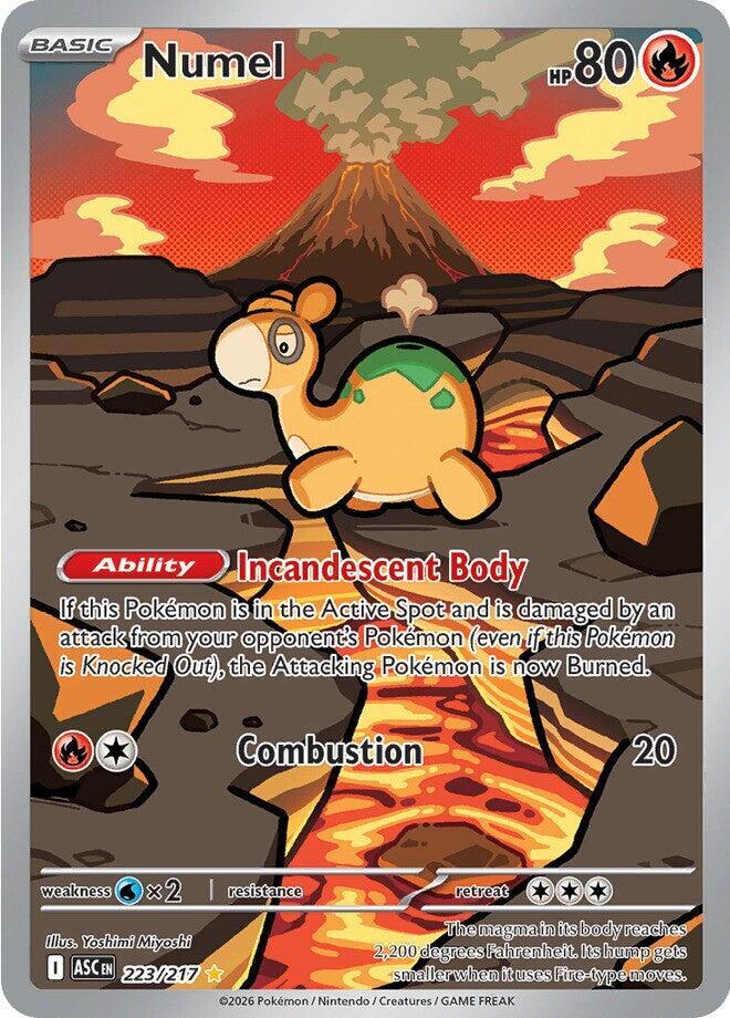 Numel [223/217 - ENG]