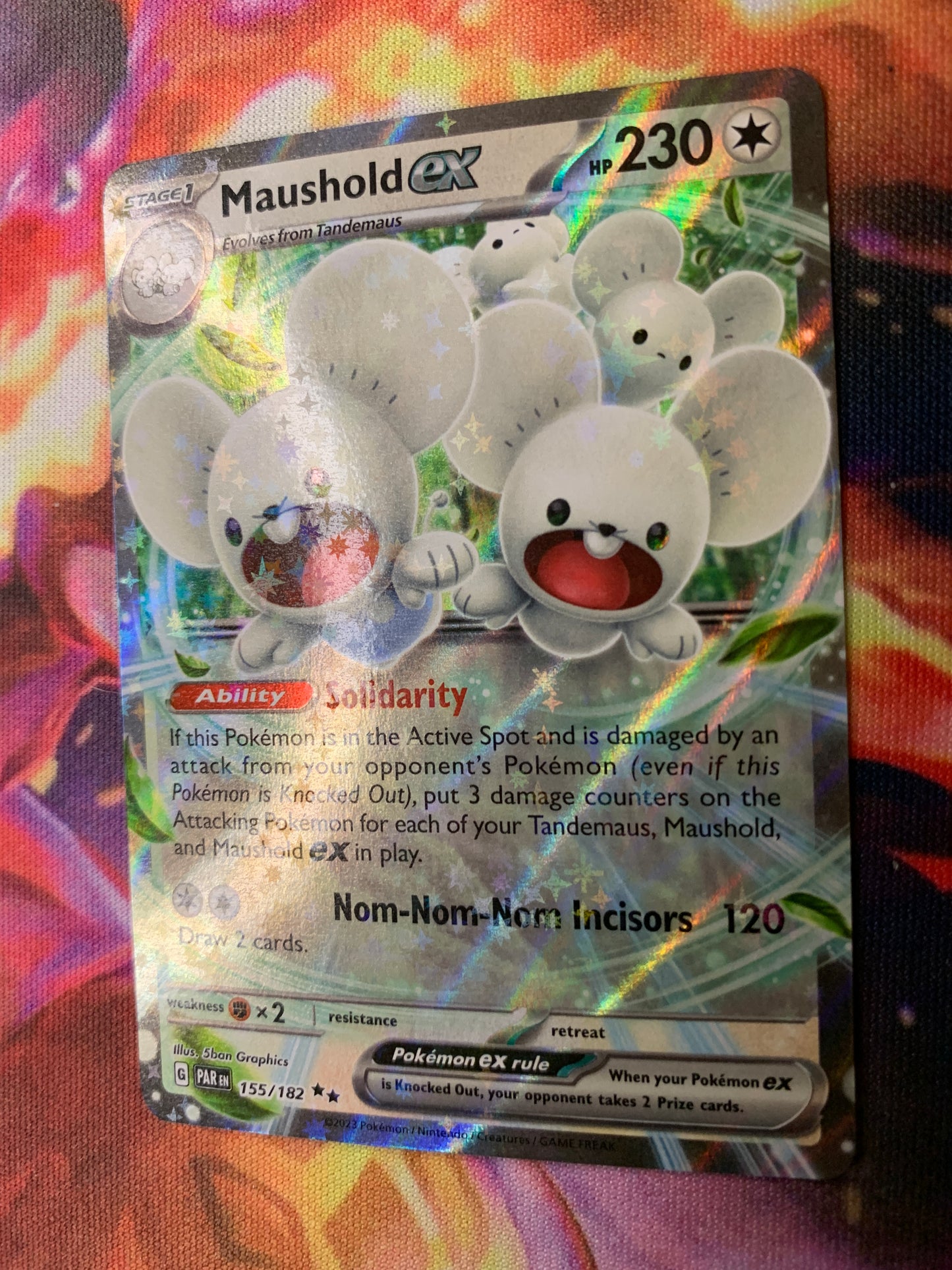 Maushold ex