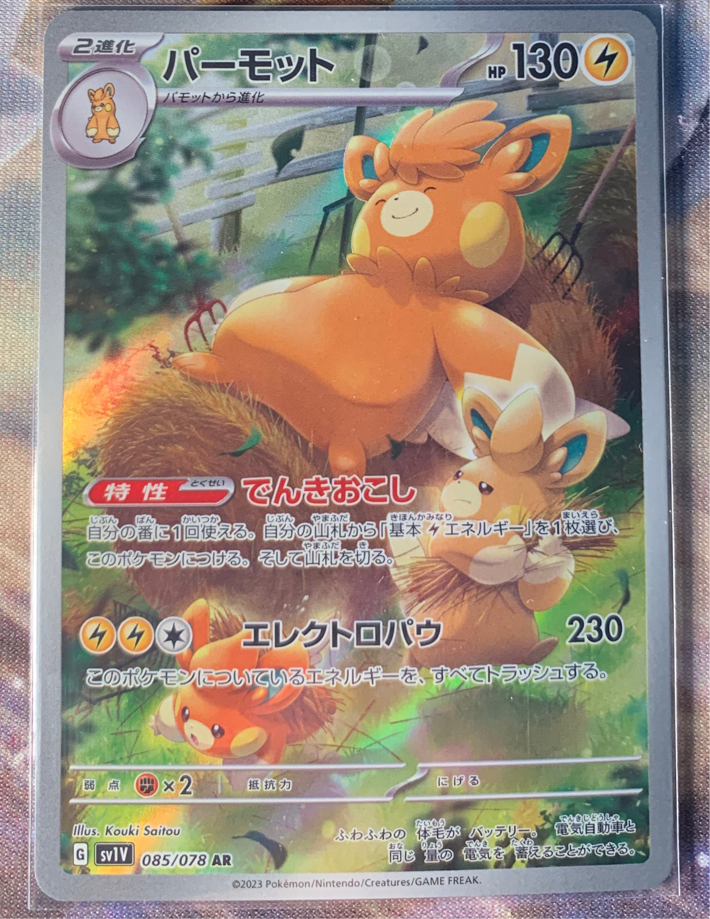 Pawmot [JPN]
