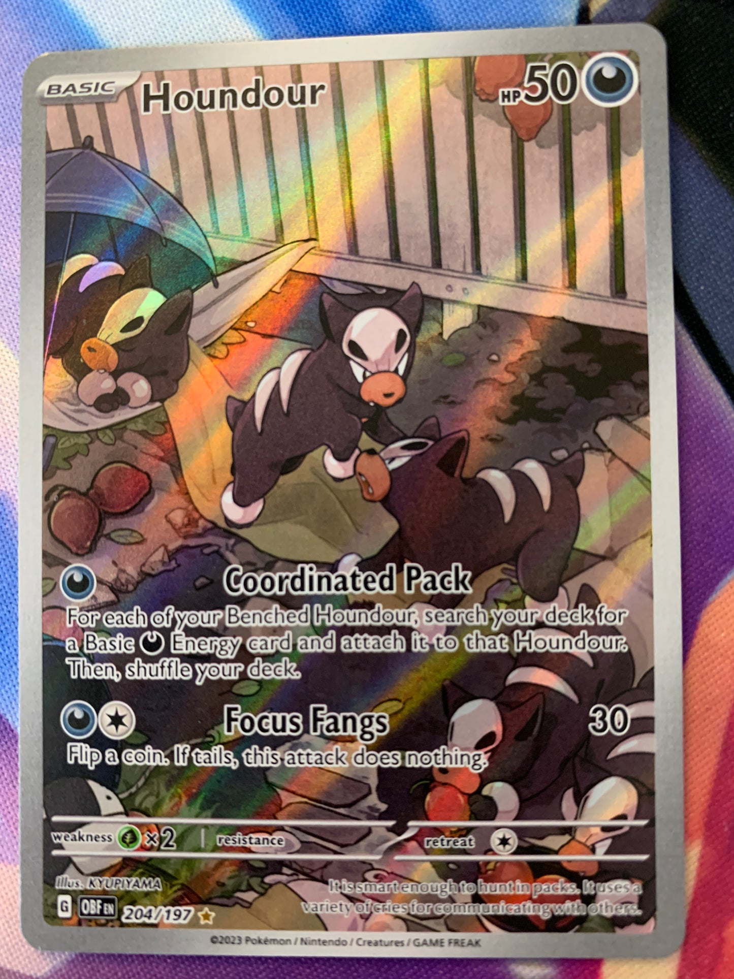 Houndour