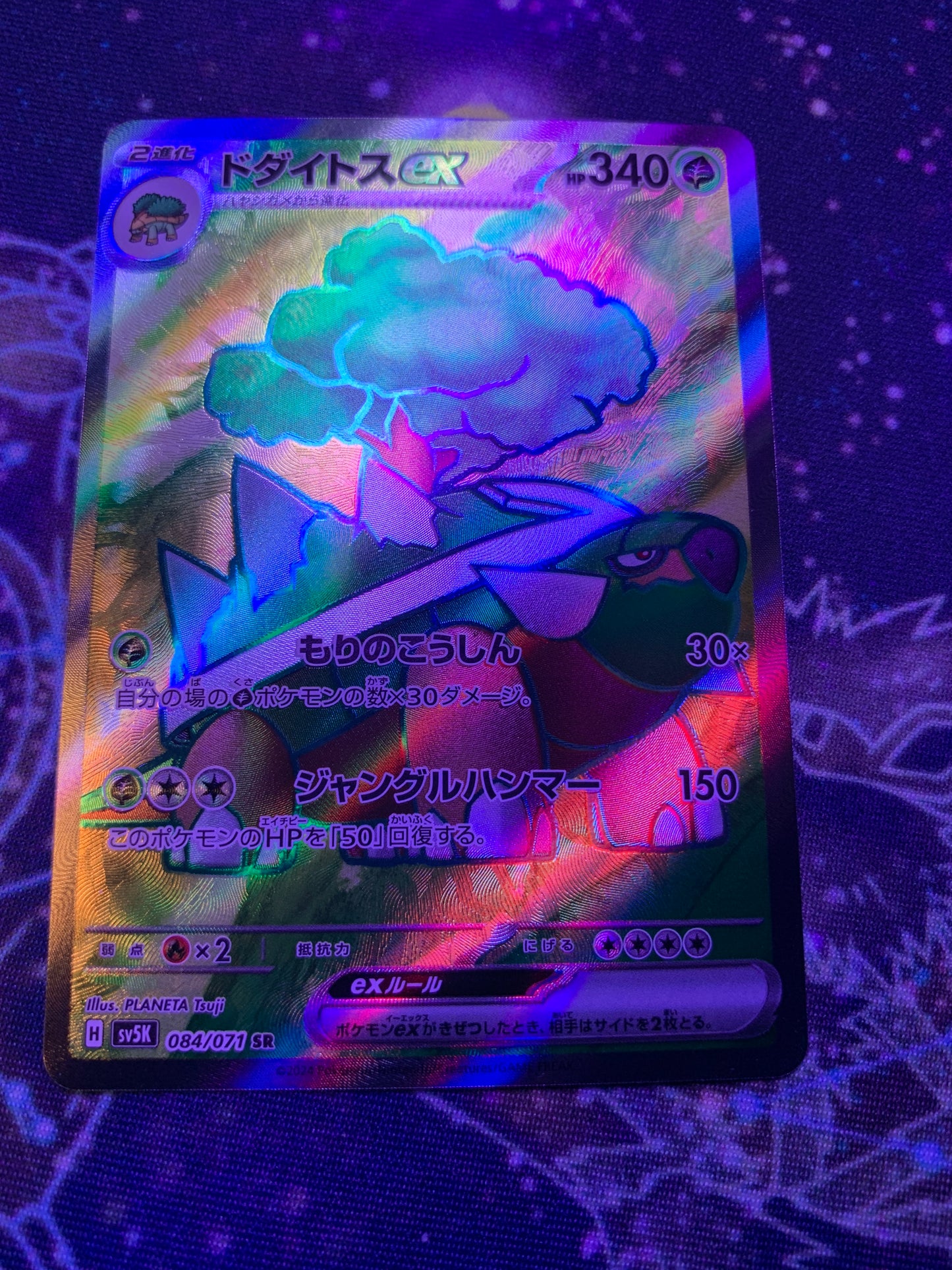 Torterra ex [JPN]