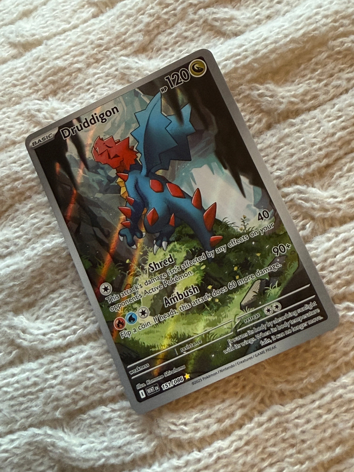 Druddigon – Pally’s Trainer & Collector Store
