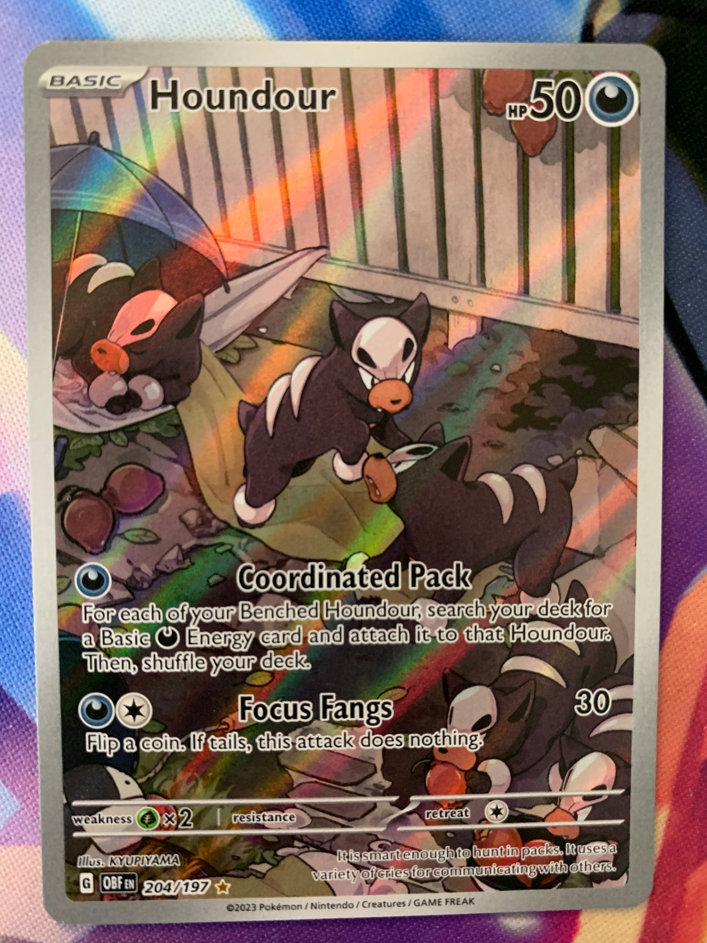 Houndour