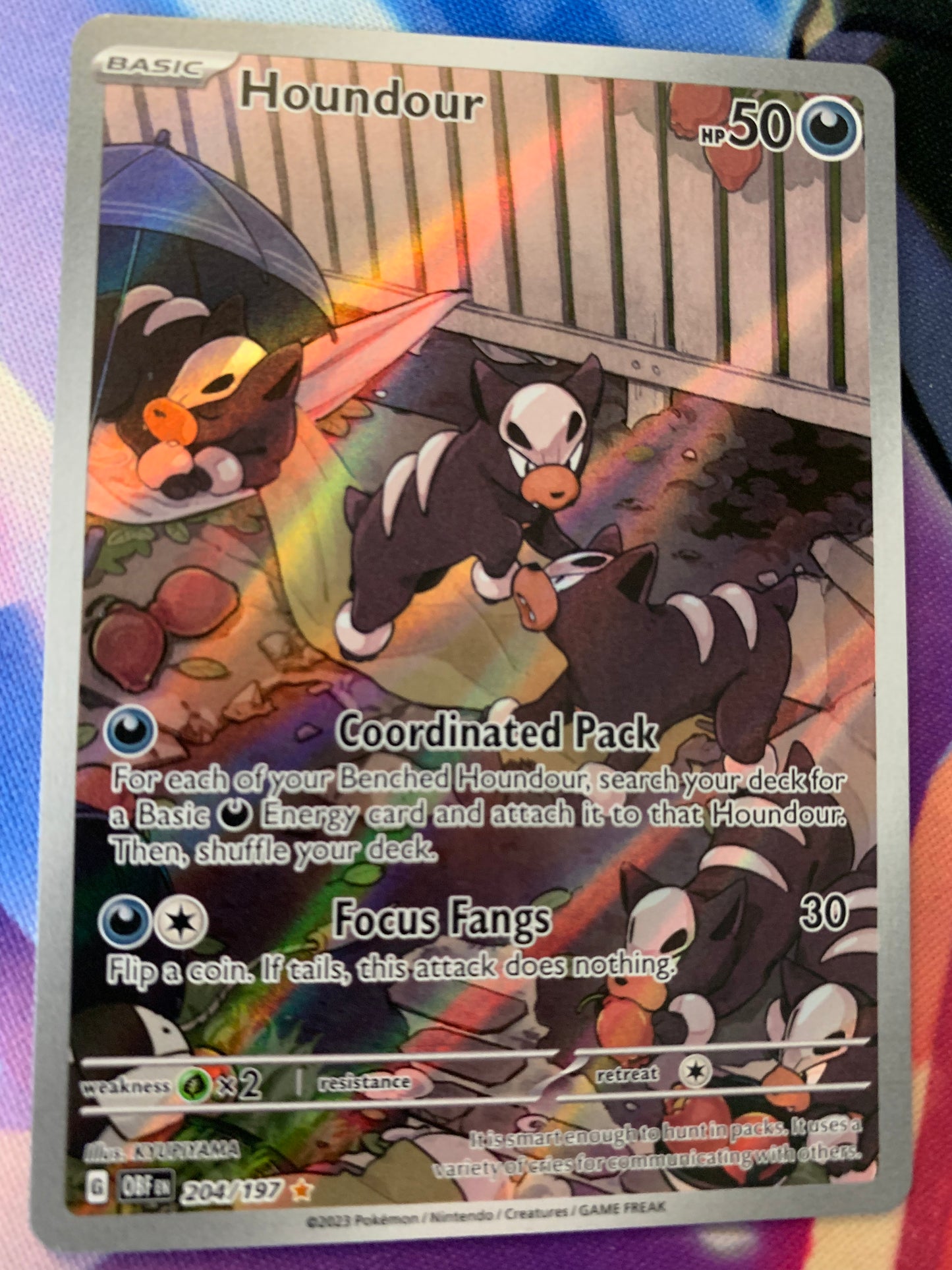 Houndour