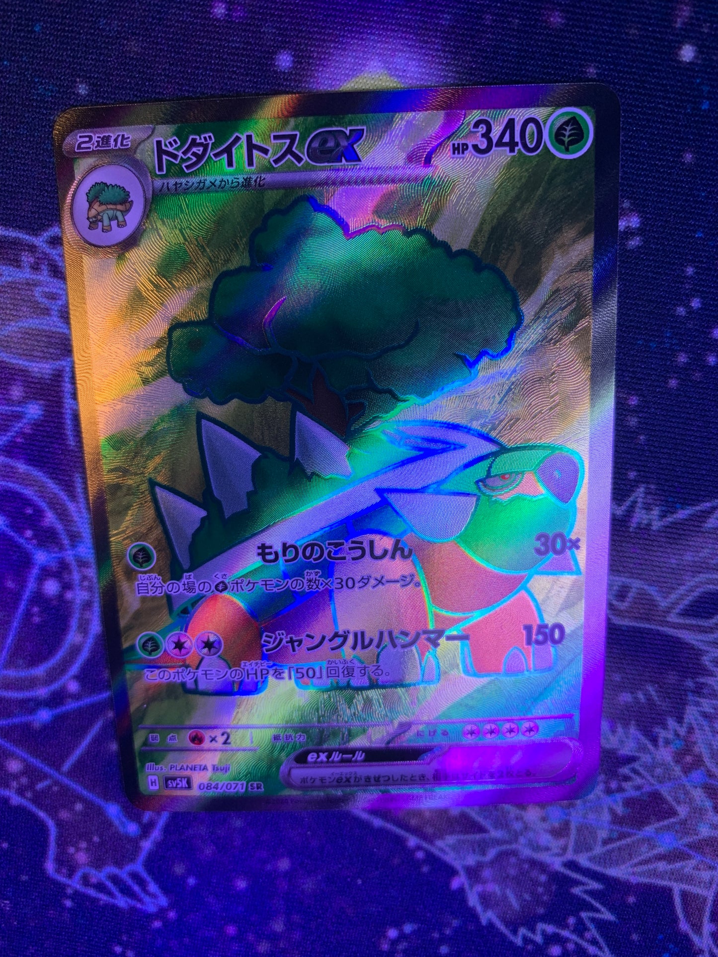 Torterra ex [JPN]