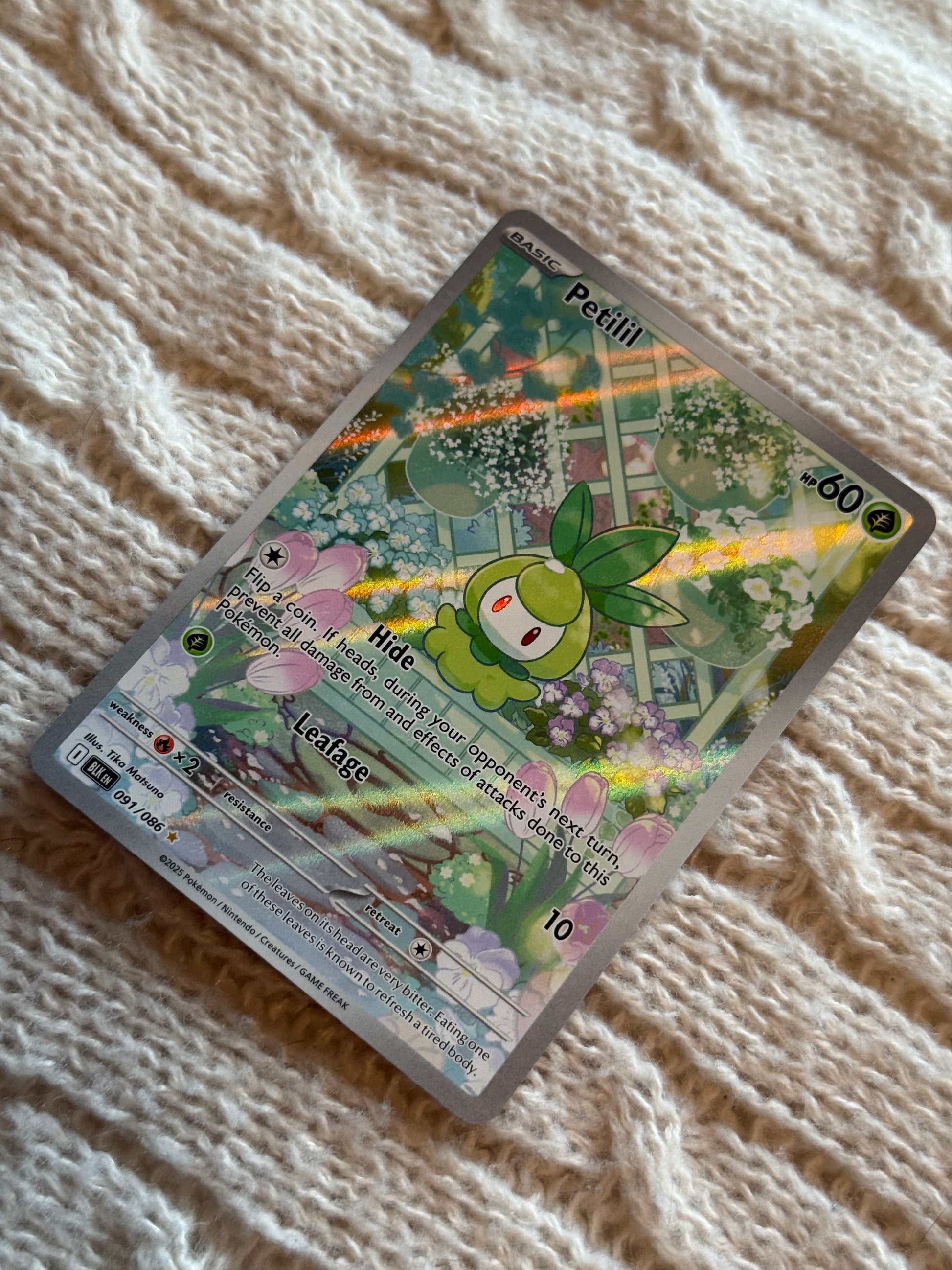 Petilil [091/086