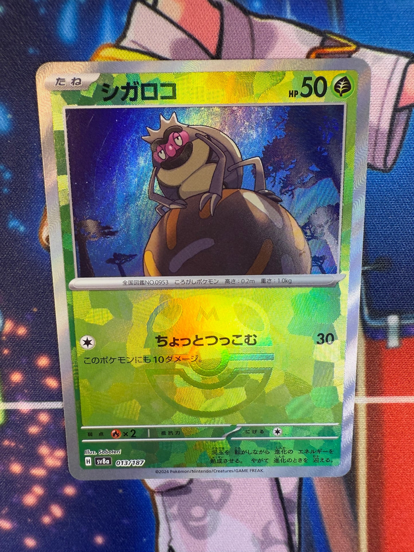 Rellor [JPN]