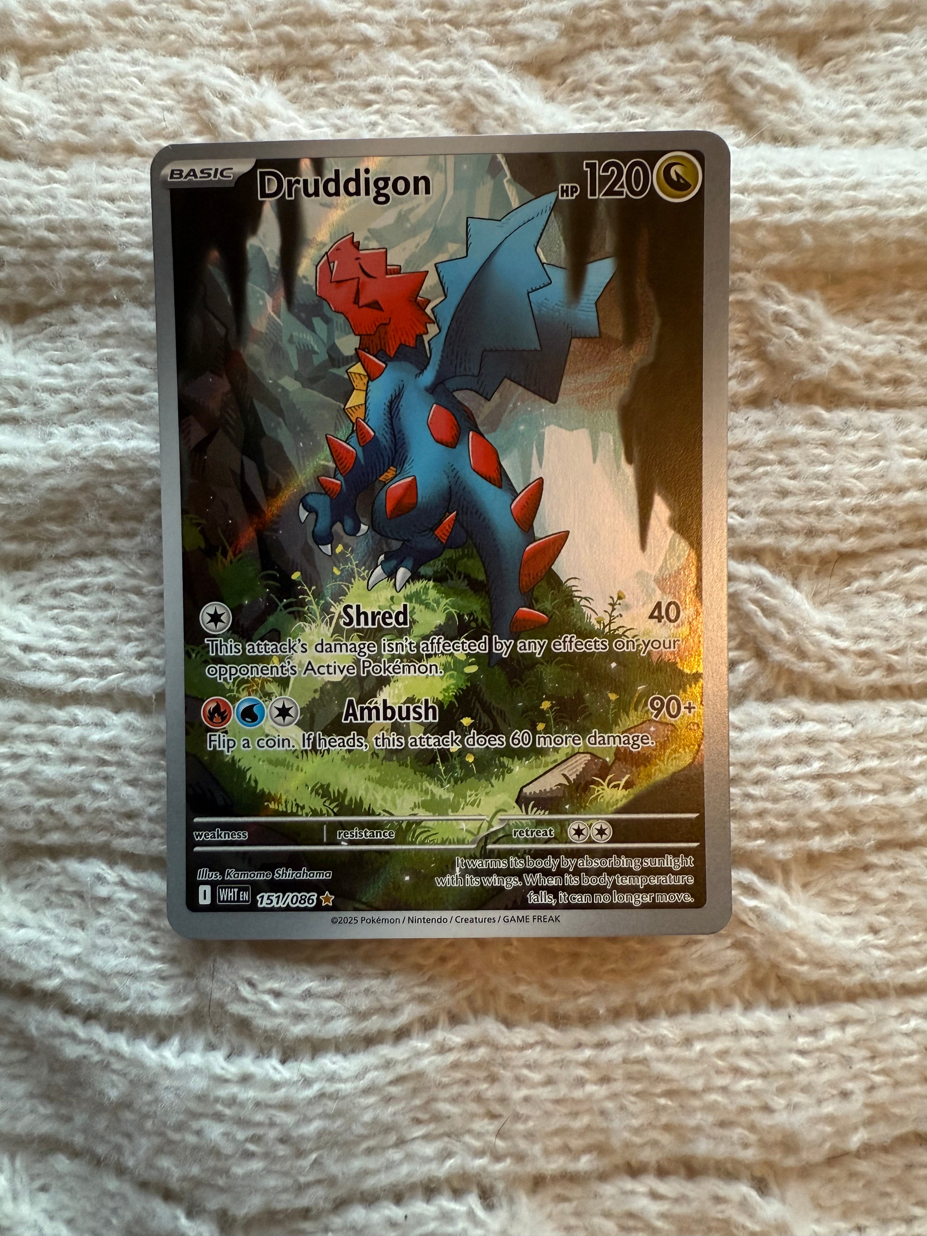 Druddigon – Pally’s Trainer & Collector Store