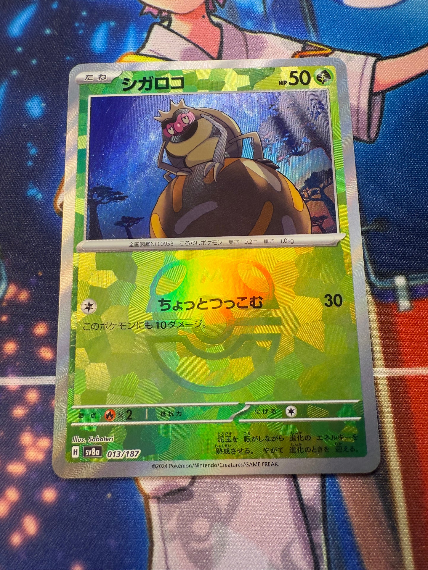 Rellor [JPN]
