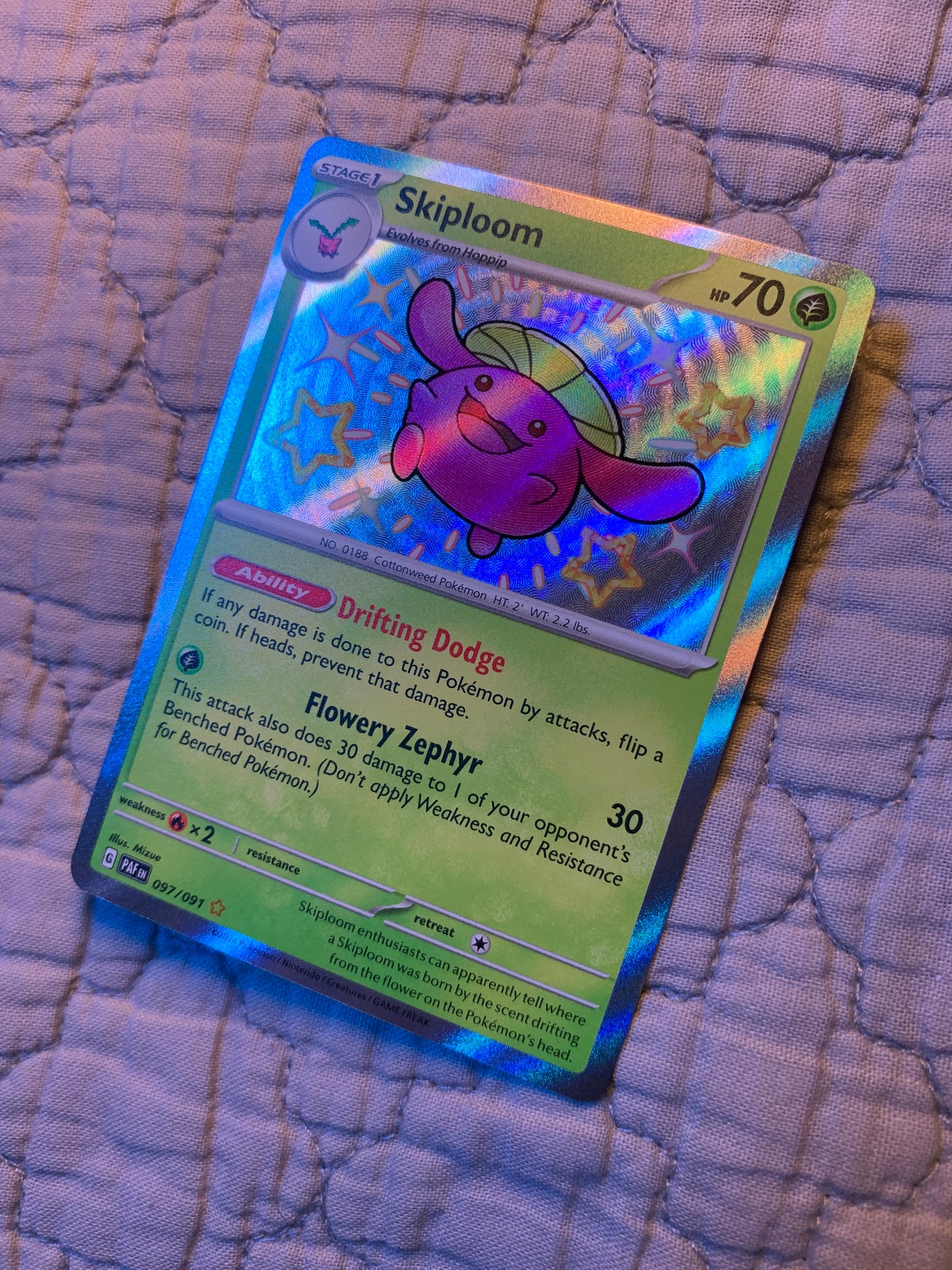 Skiploom