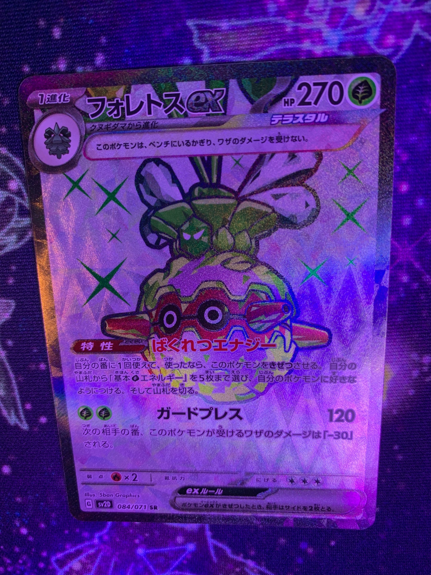 Forretress ex (Tera) [JPN]