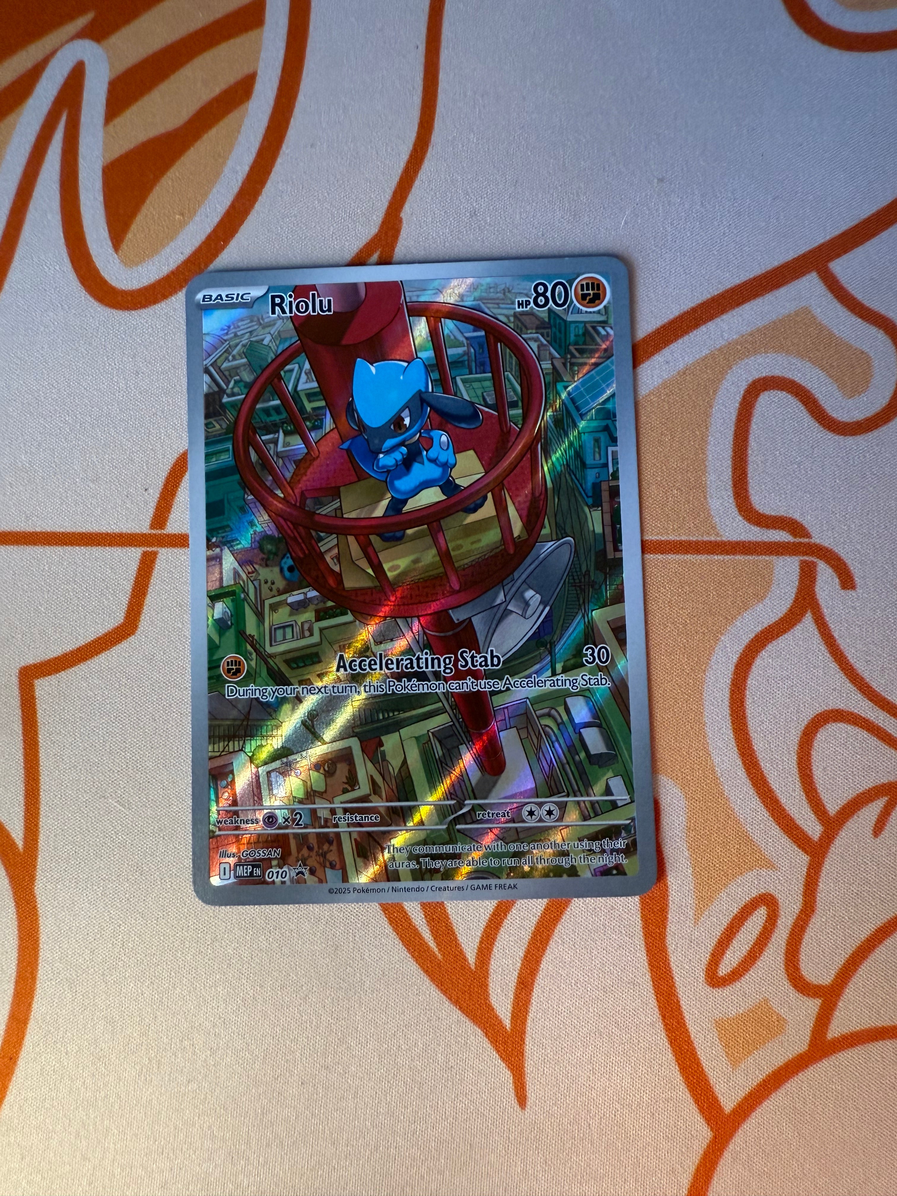 Riolu – Pally’s Trainer & Collector Store