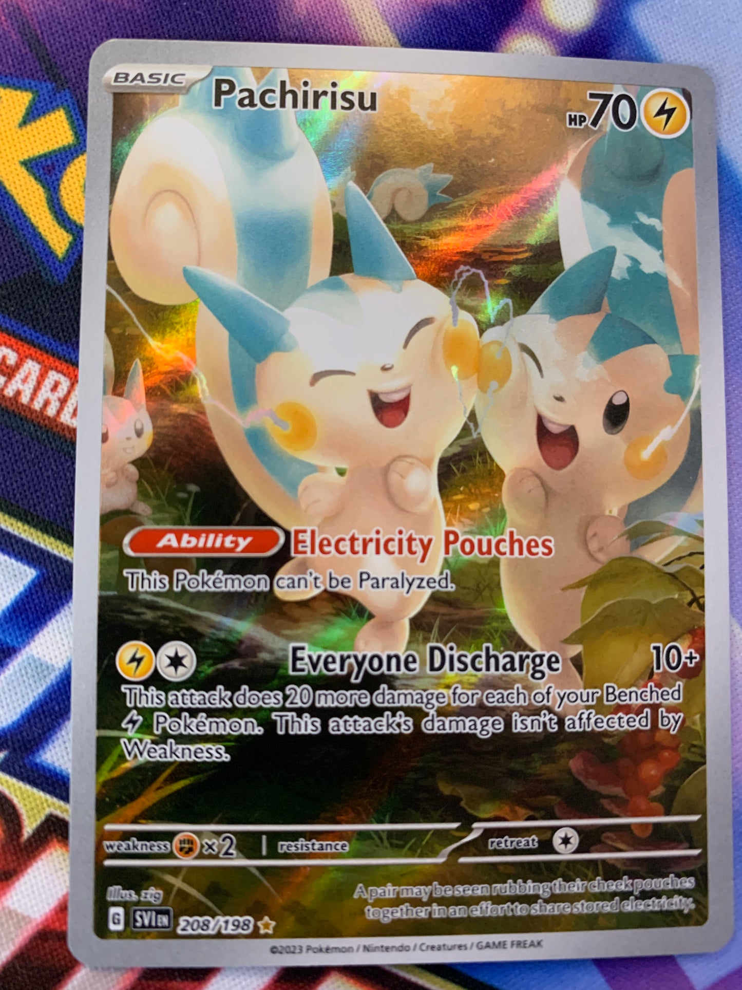 Pachirisu