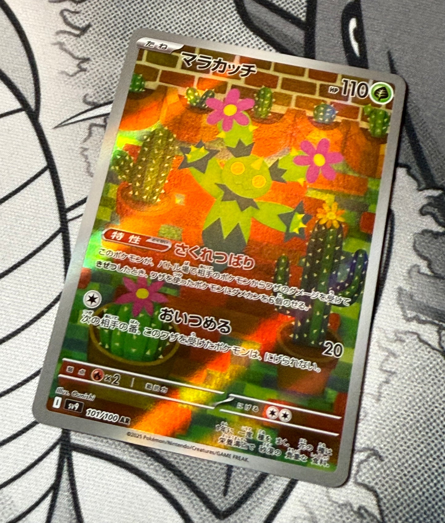 Maractus [JPN]