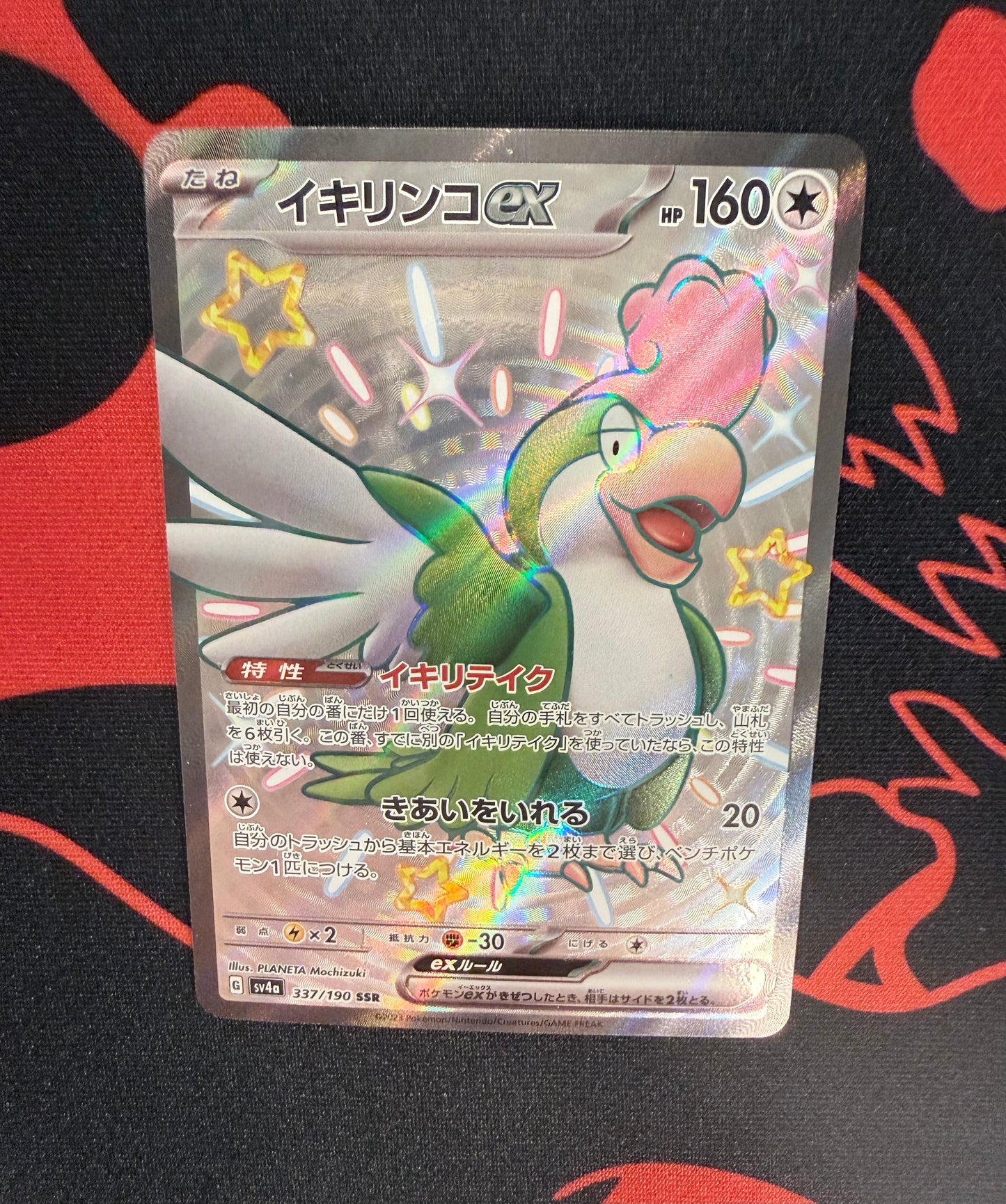 Squawkabilly ex