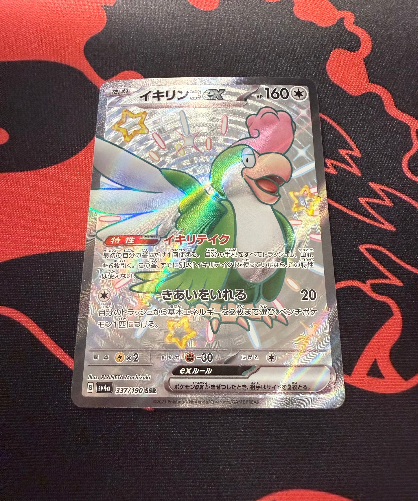 Squawkabilly ex