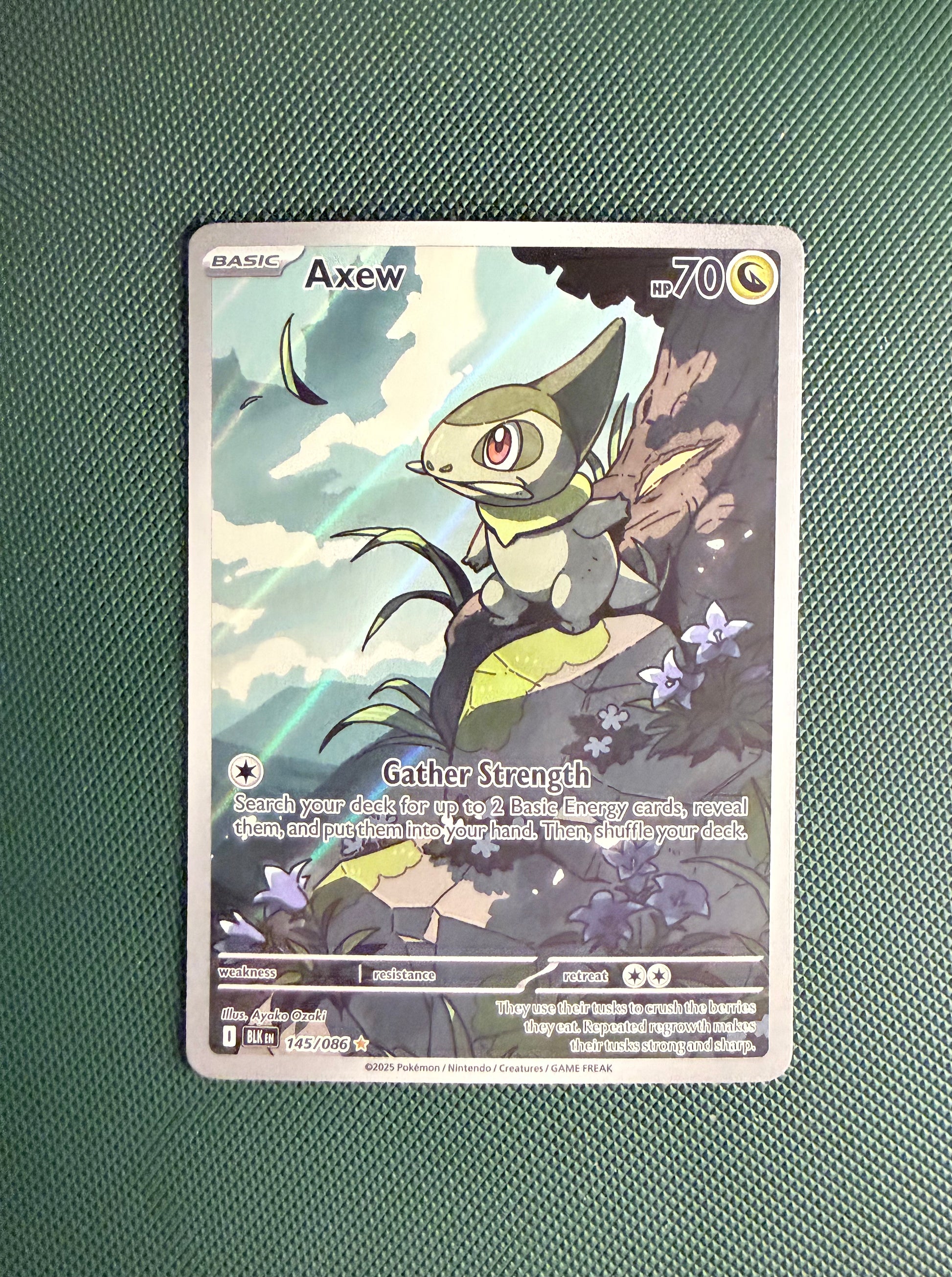 pokemon card axew Axew | Pokmon Cards and Details