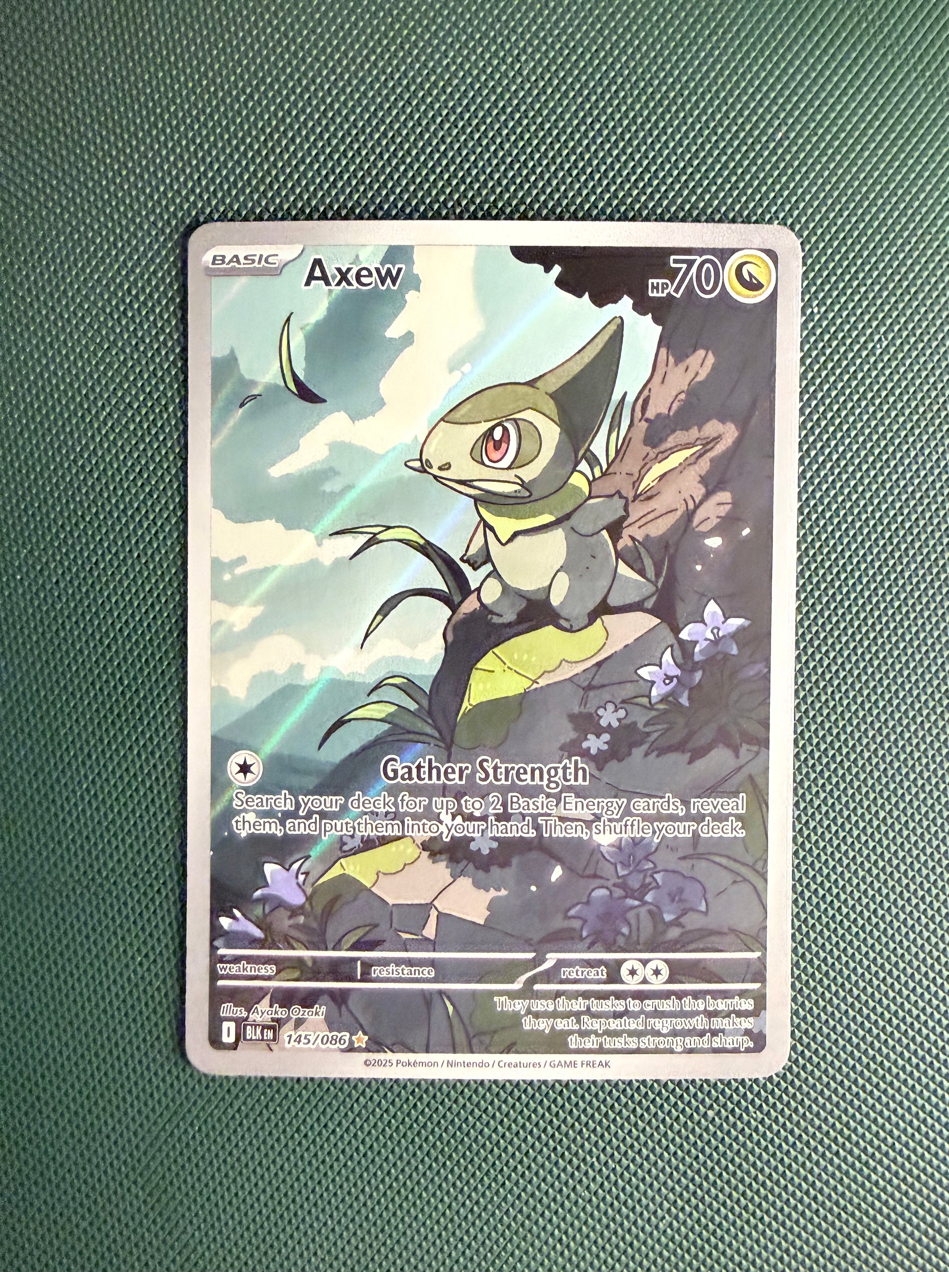 Axew – Pally's Trainer & Collector Store