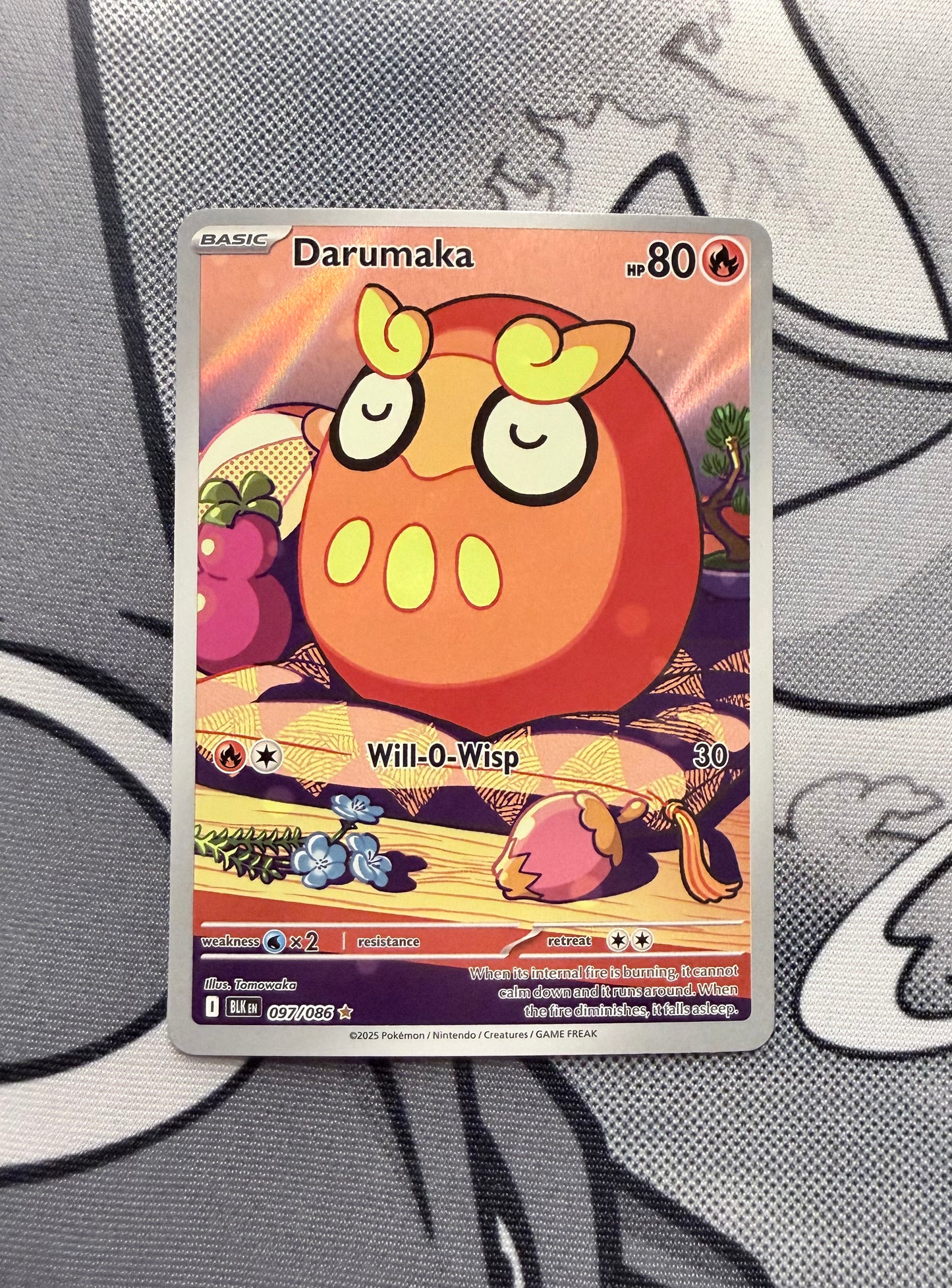 Darumaka