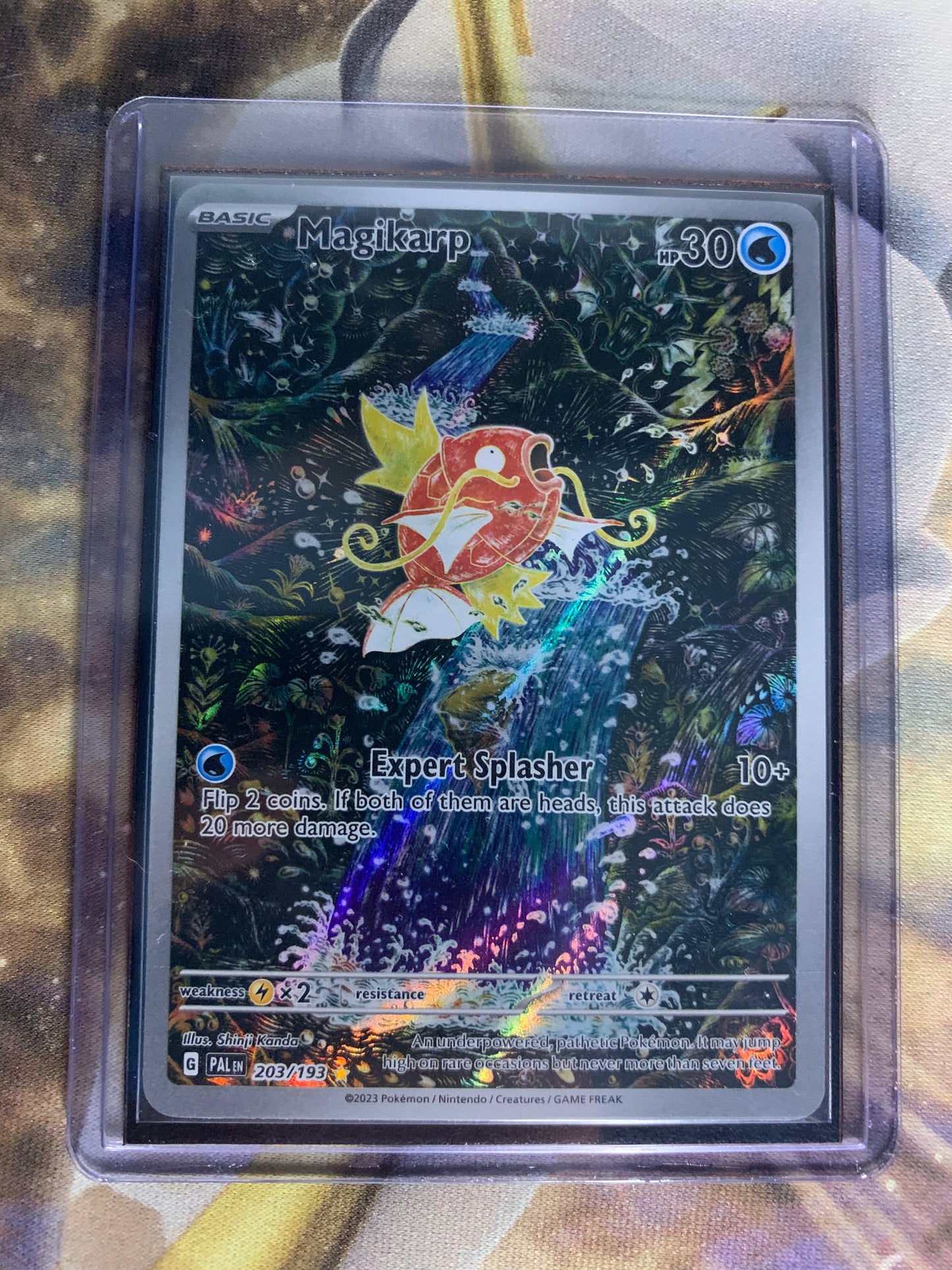 Magikarp
