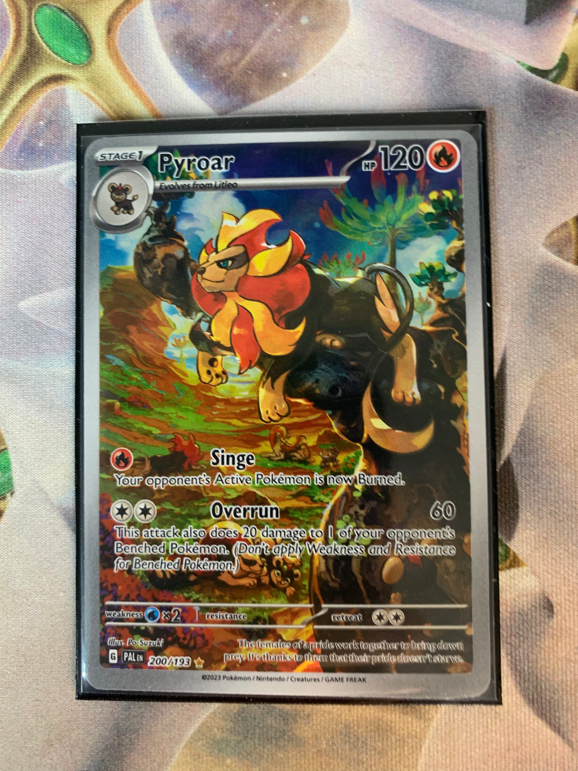 Pyroar – Pally’s Trainer & Collector Store