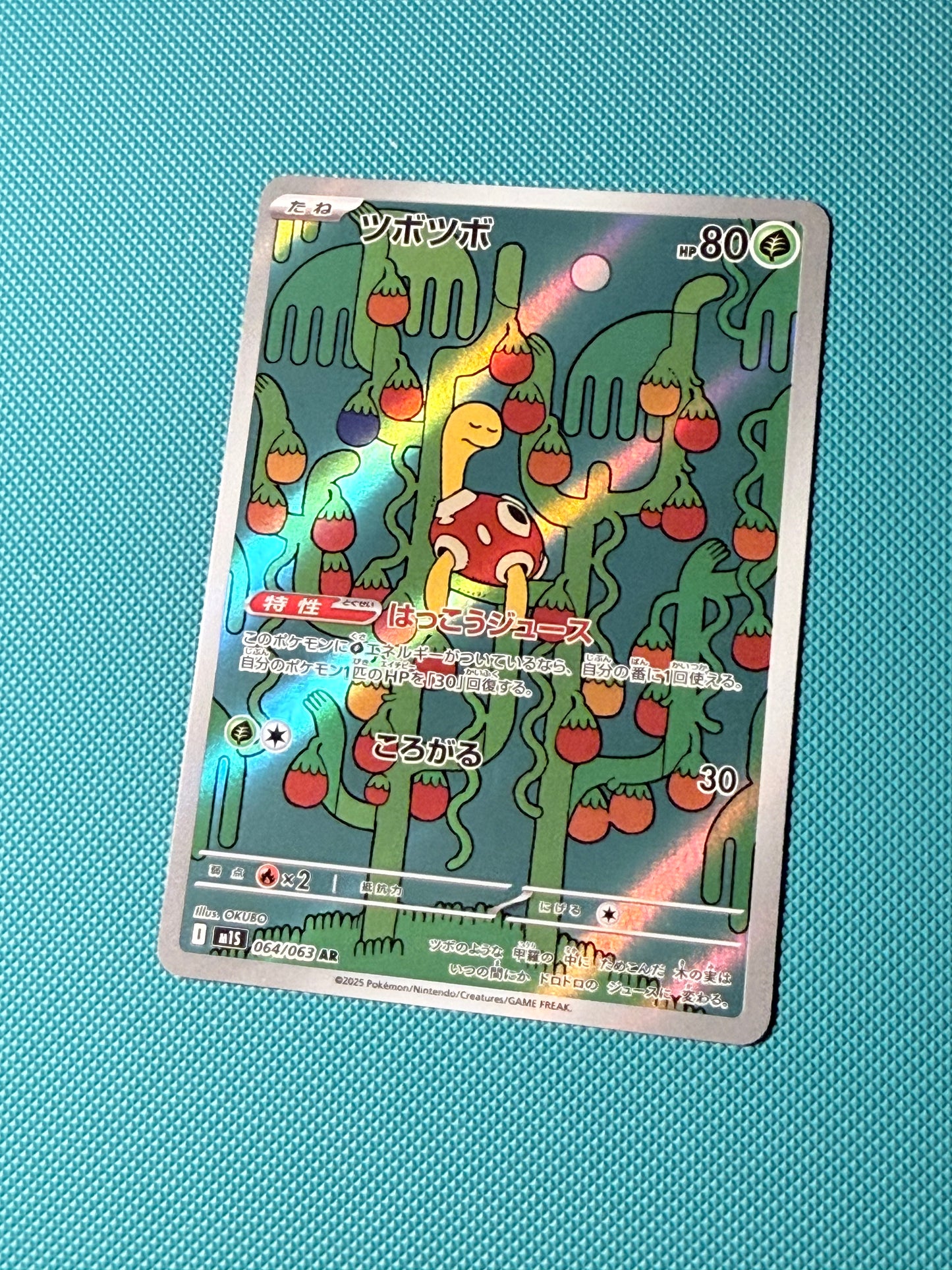 Shuckle [064/063 - JPN]