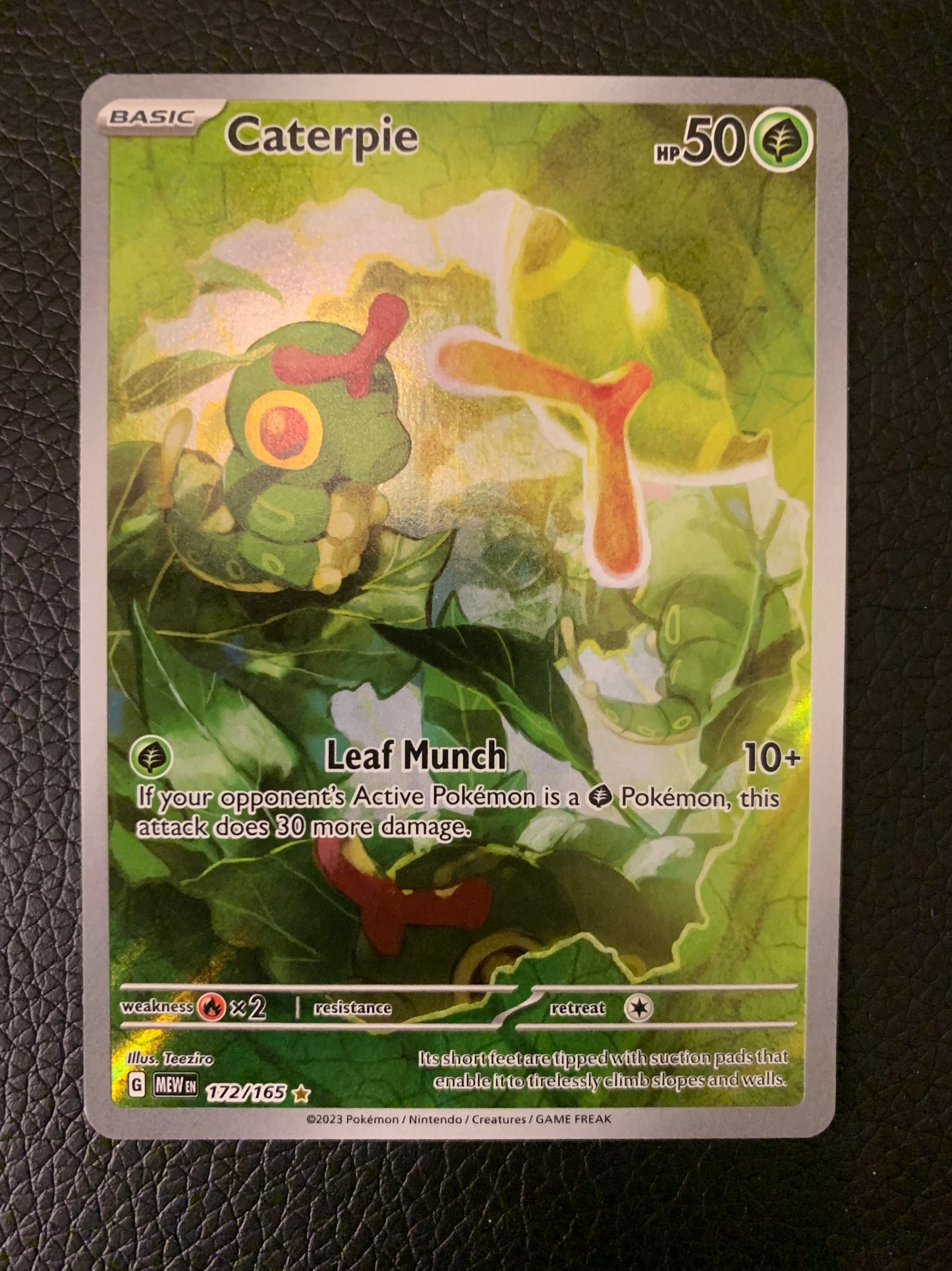 Caterpie