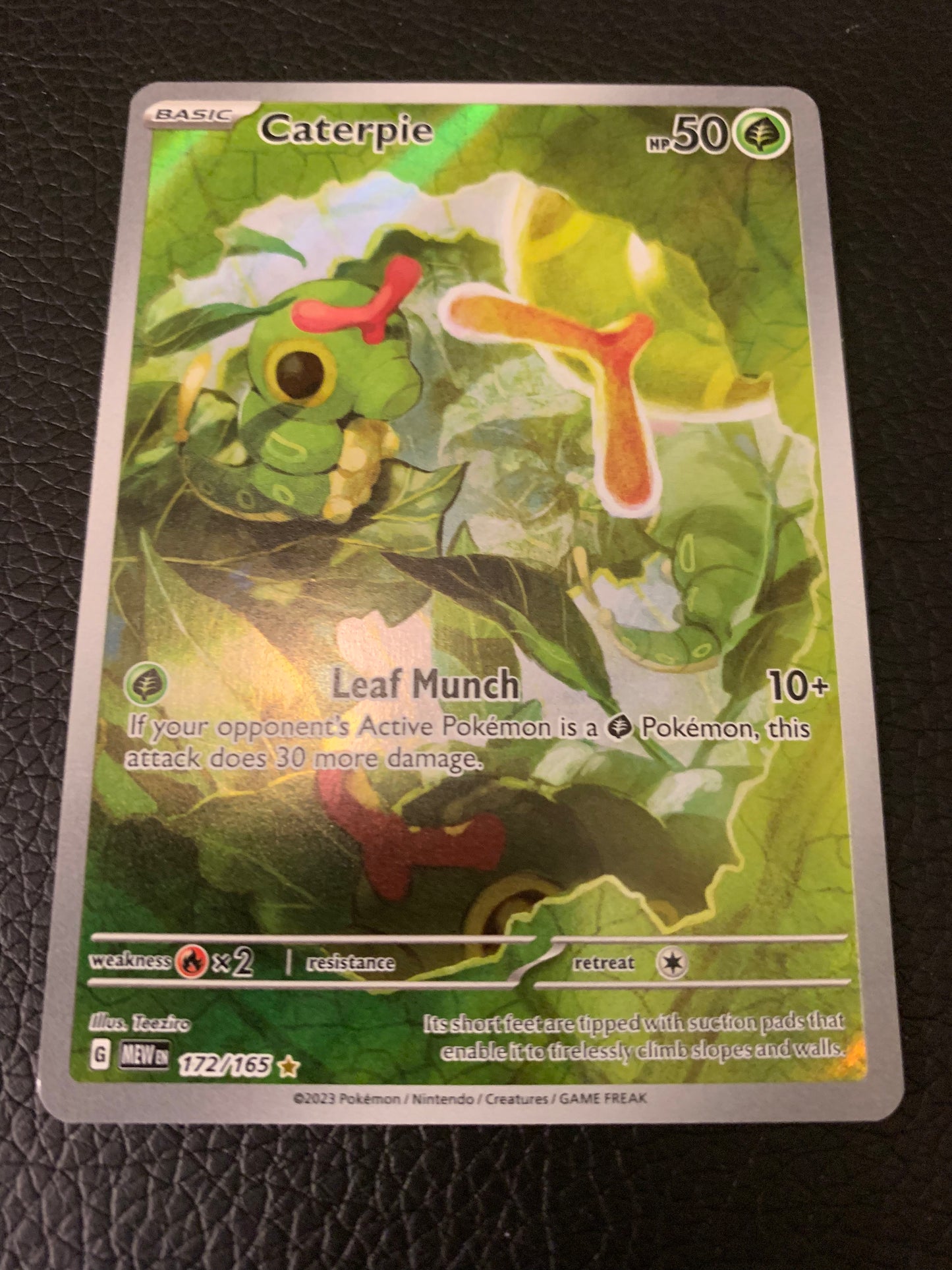 Caterpie