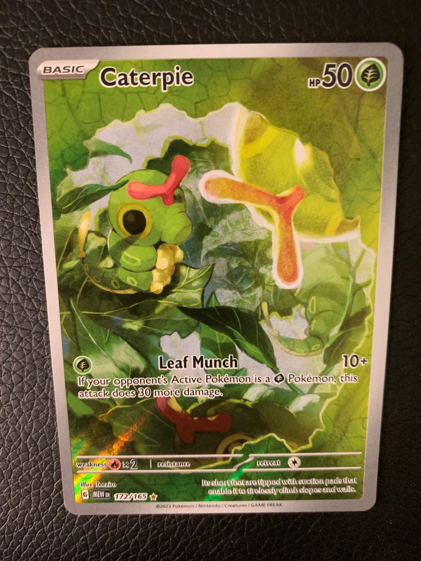 Caterpie